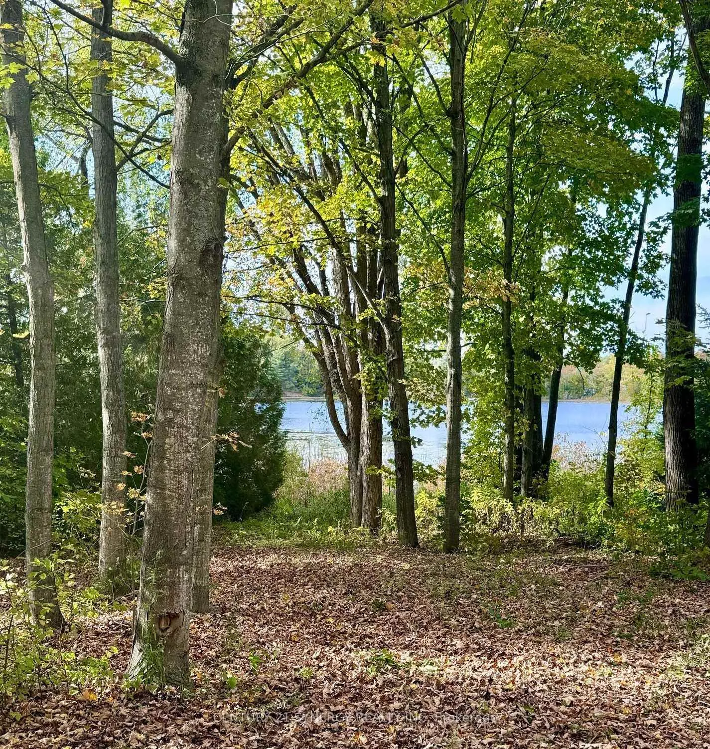 Photo 37 of 846 UB8 Road, Rideau Lakes, Rideau Lakes (Bastard) Twp — HOMEH
