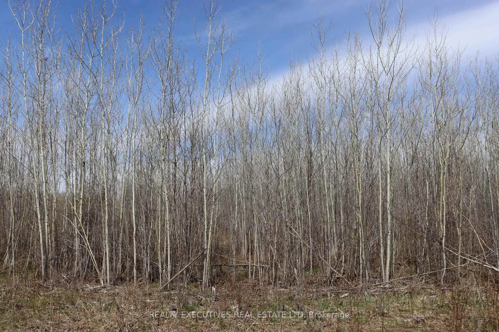 Photo 8 of 15905 Concession 2-3 Road, North Stormont, North Stormont (Finch) Twp — HOMEH
