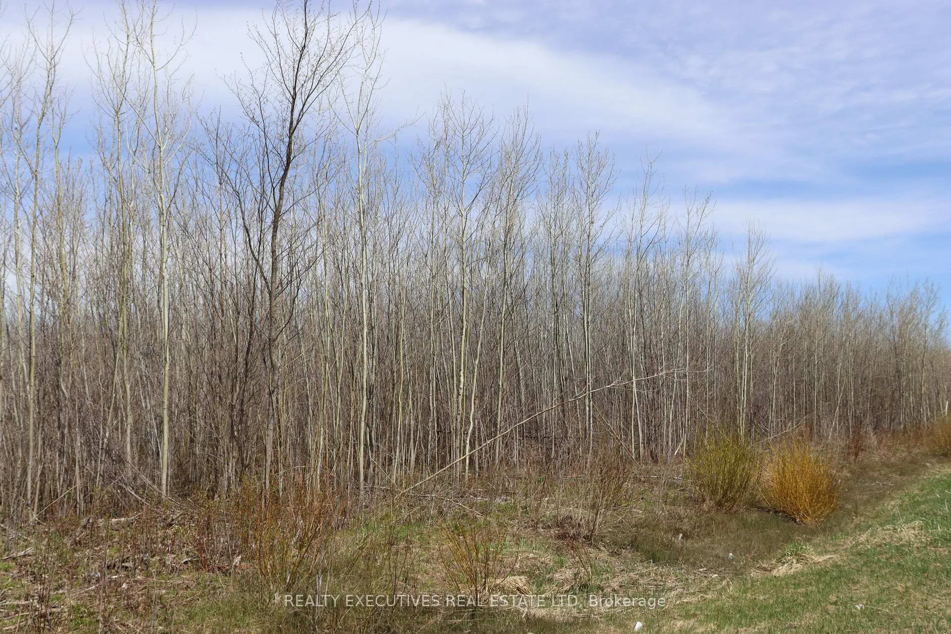 Photo 9 of 15905 Concession 2-3 Road, North Stormont, North Stormont (Finch) Twp — HOMEH