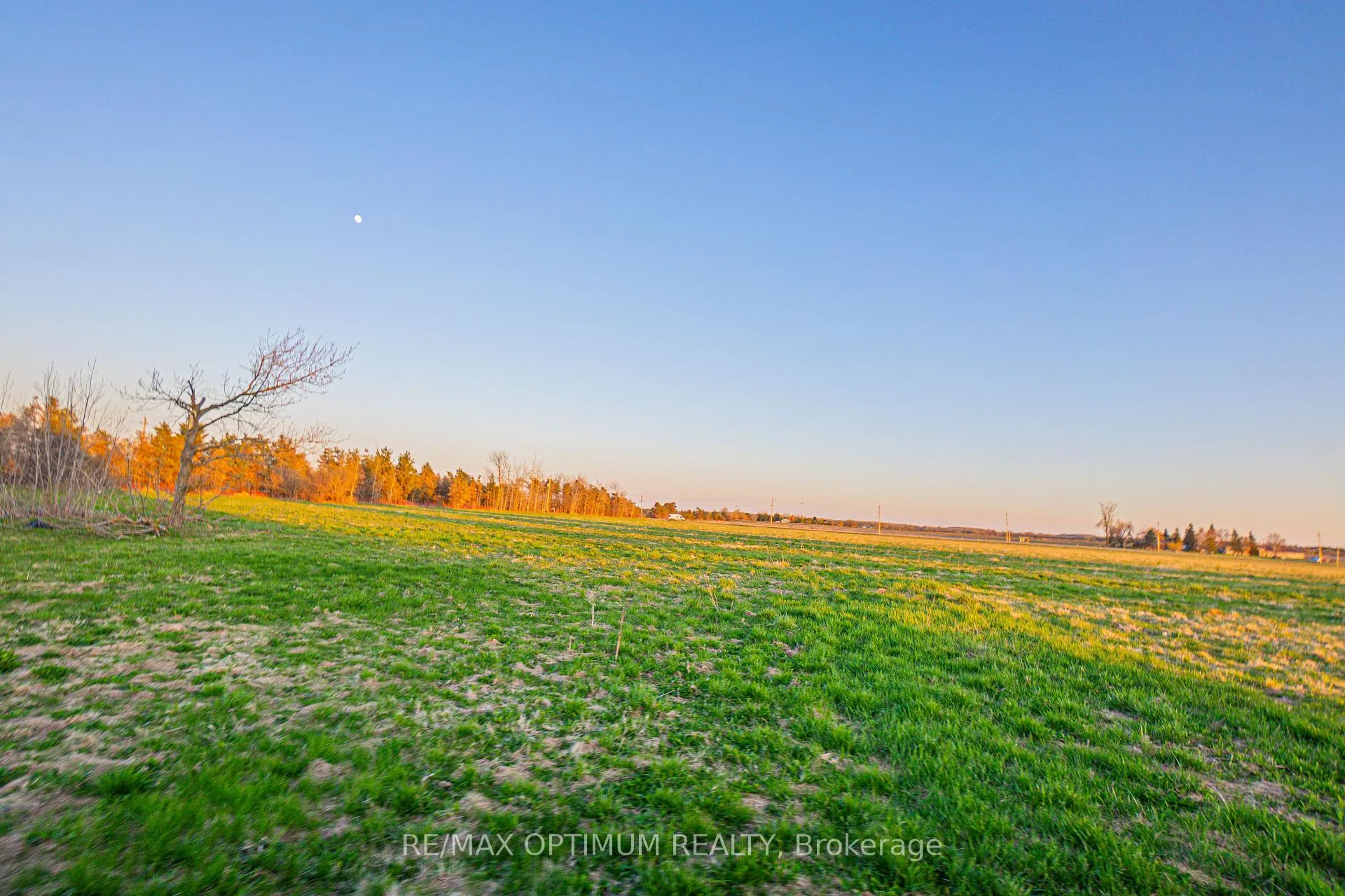 Photo 8 of Unit 12, 393330 County Road, Amaranth, Rural Amaranth — HOMEH