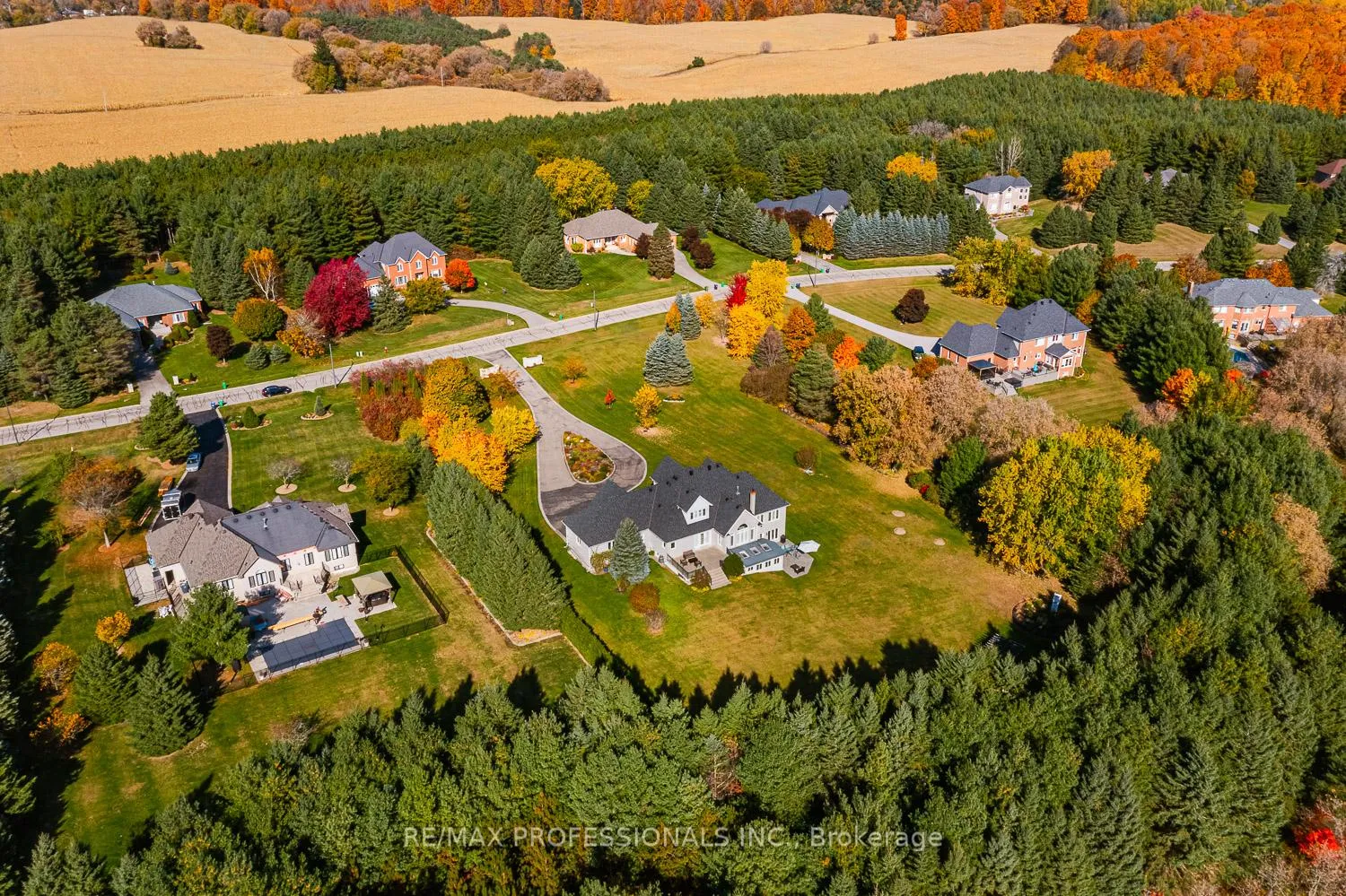 Photo 4 of 63 Rowley Drive, Caledon, Palgrave — HOMEH