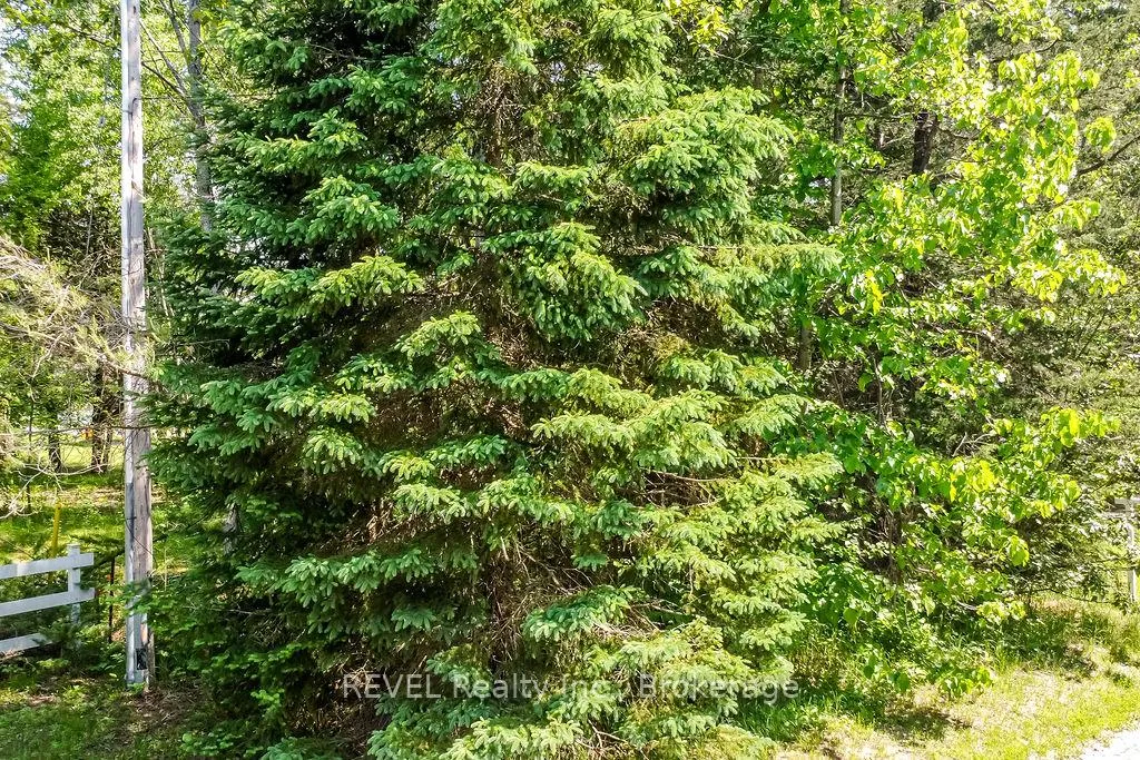 Photo 7 of 31 Pine River Road, Essa, Angus — HOMEH