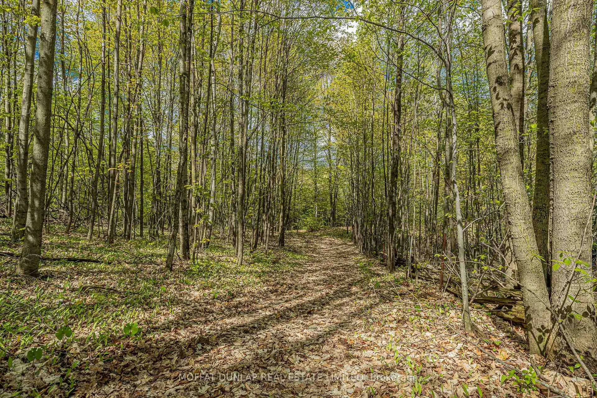Photo 14 of 16761 Mountainview Road, Caledon, Caledon East — HOMEH