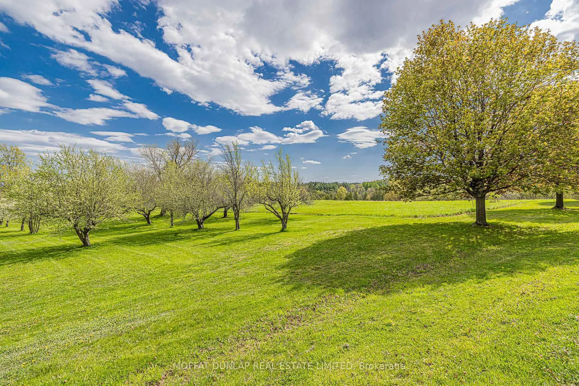 Photo 15 of 16761 Mountainview Road, Caledon, Caledon East — HOMEH