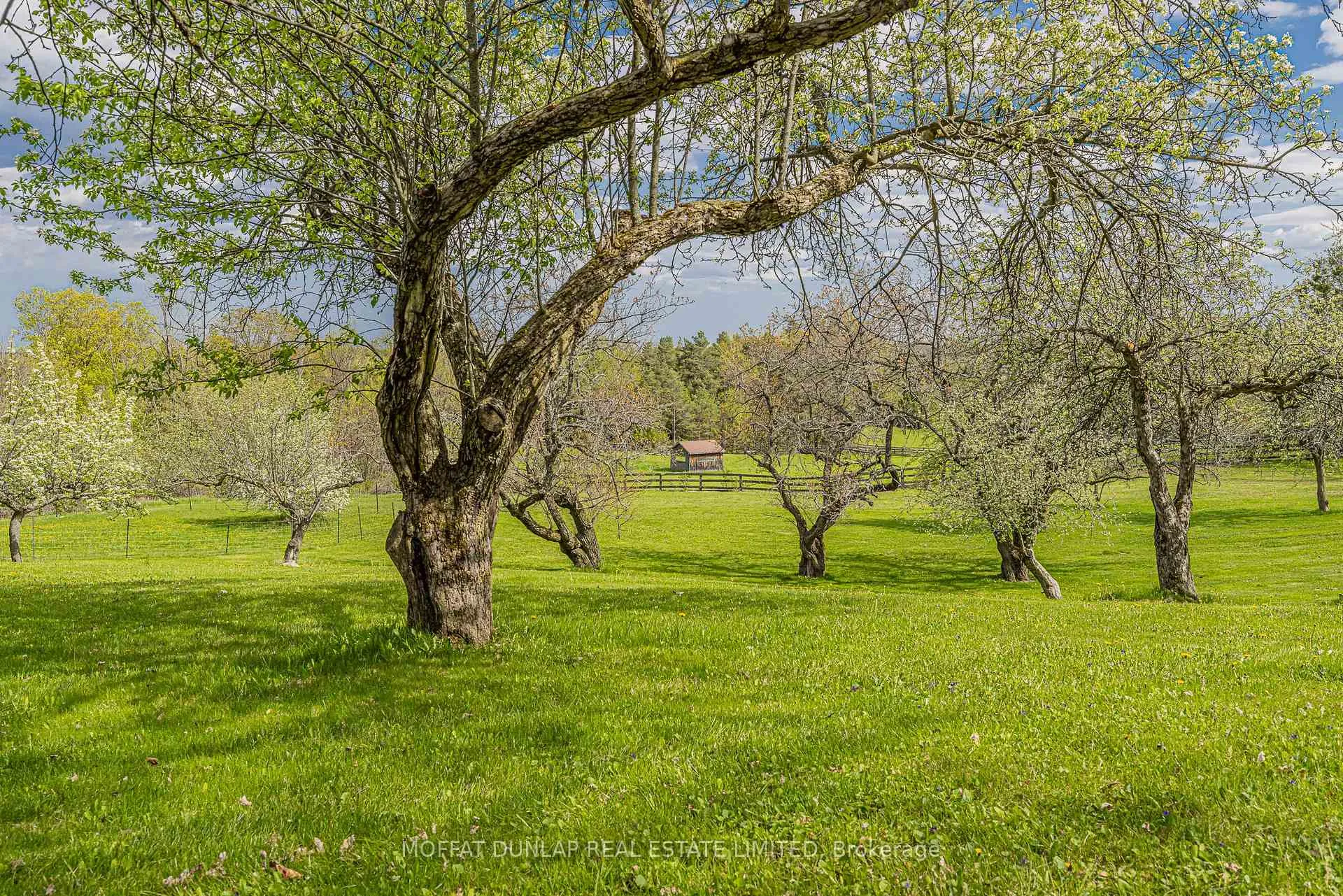 Photo 16 of 16761 Mountainview Road, Caledon, Caledon East — HOMEH