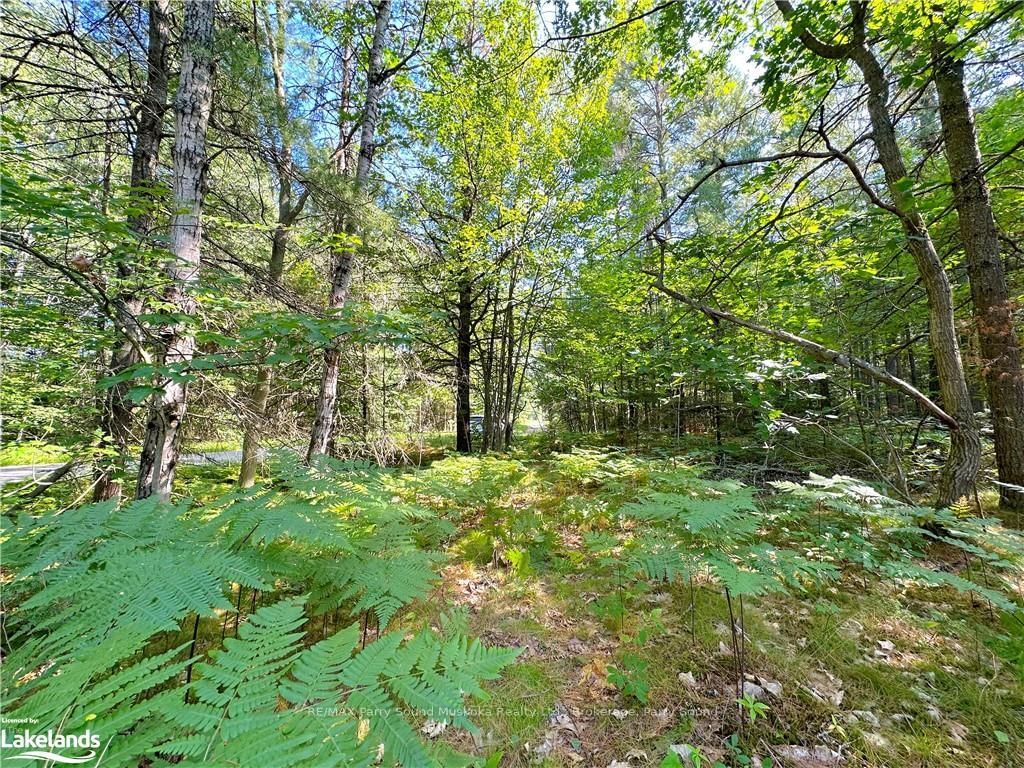 Photo 6 of 0 TOM COOPERS Rd, Carling — HOMEH
