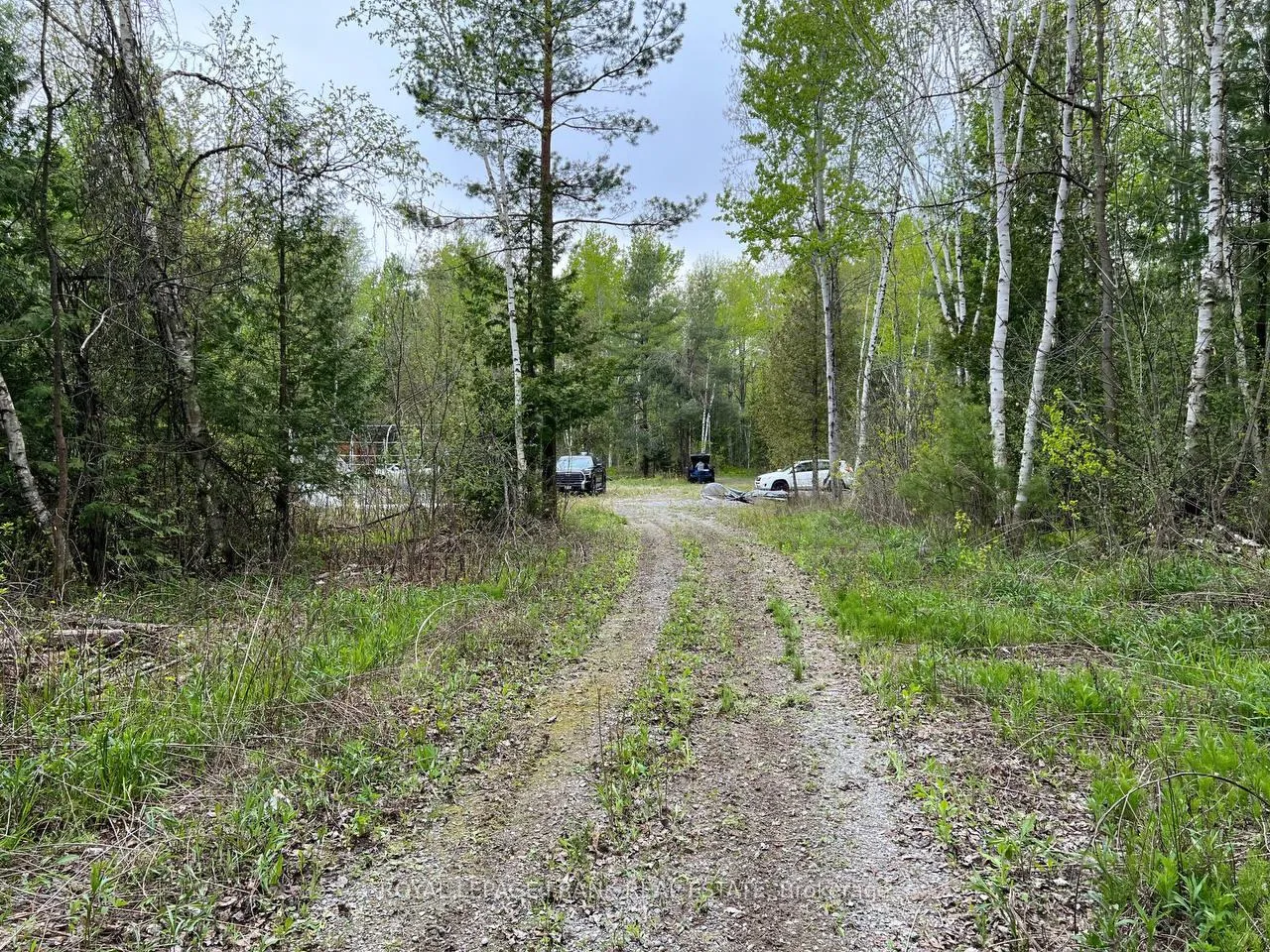 Photo of . Rutherford Road