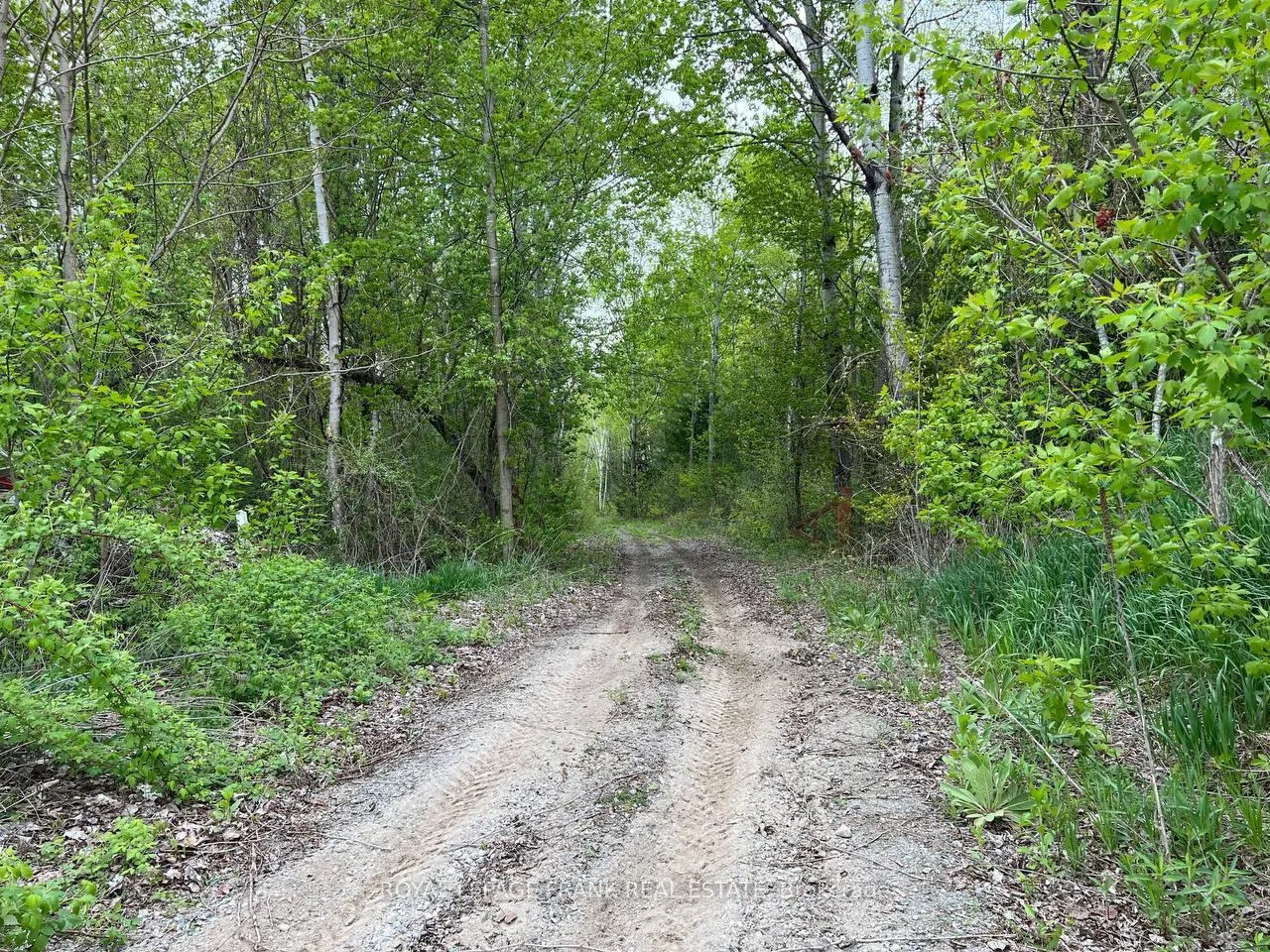 Photo 3 of Rutherford Road, Alnwick/Haldimand, Grafton — HOMEH