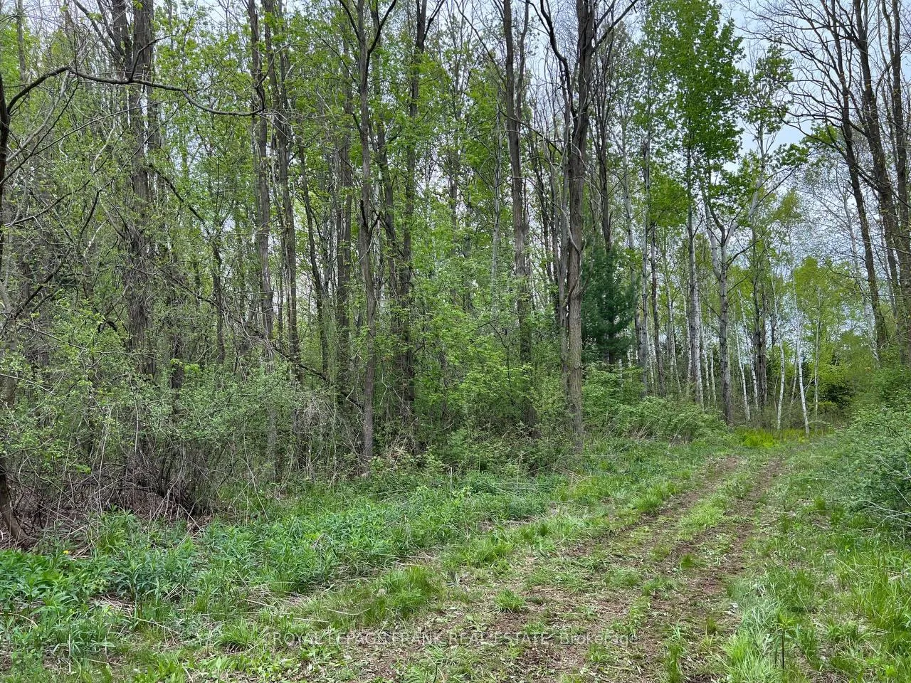 Photo 4 of Rutherford Road, Alnwick/Haldimand, Grafton — HOMEH