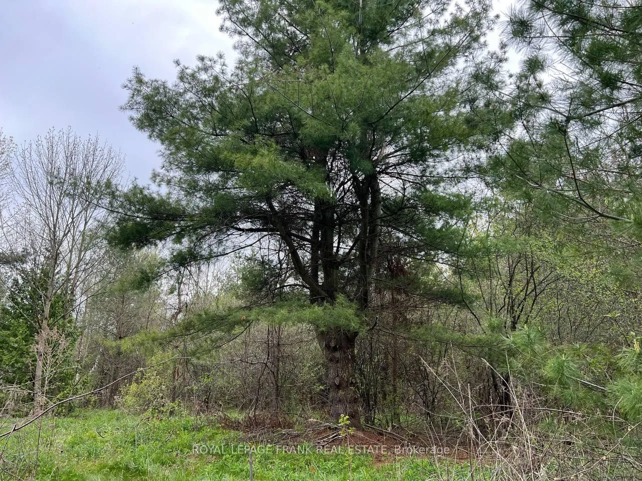 Photo 5 of Rutherford Road, Alnwick/Haldimand, Grafton — HOMEH