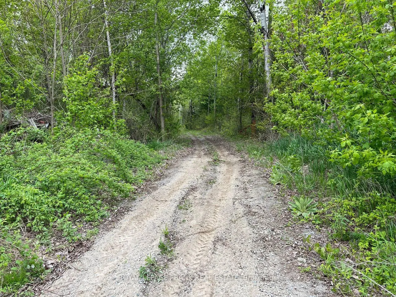 Photo 6 of Rutherford Road, Alnwick/Haldimand, Grafton — HOMEH