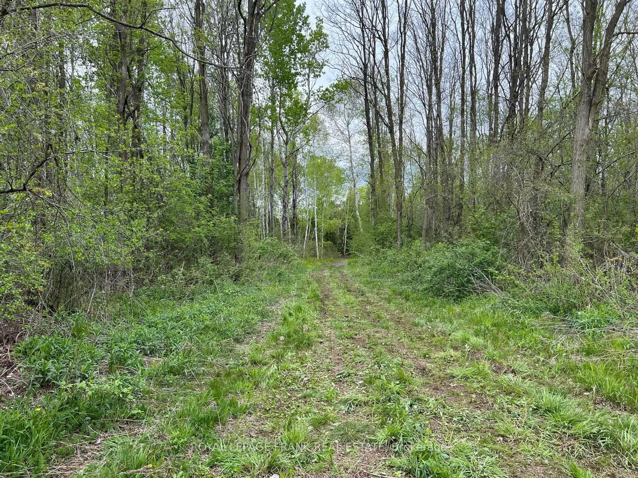 Photo 7 of Rutherford Road, Alnwick/Haldimand, Grafton — HOMEH