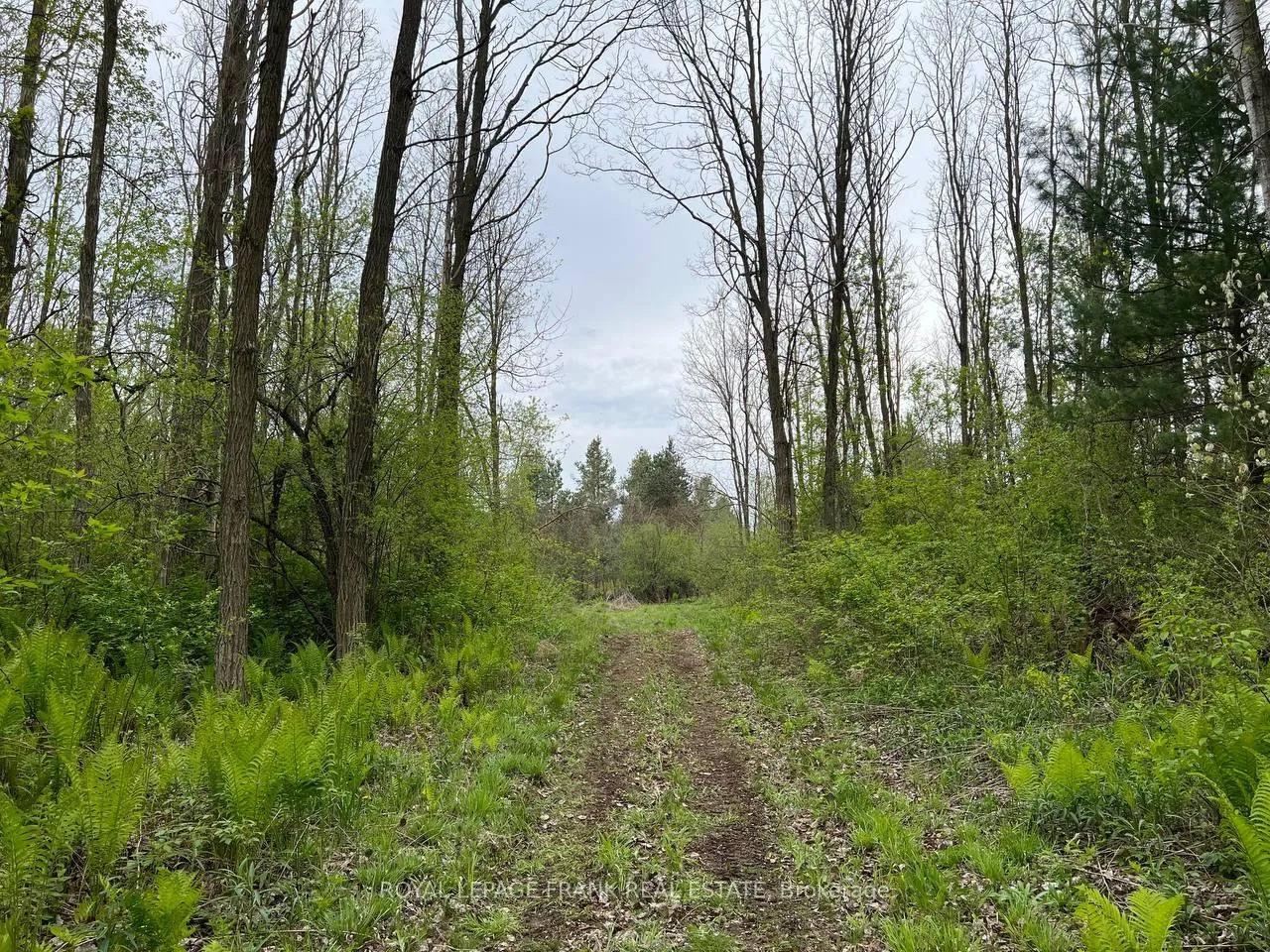 Photo 8 of Rutherford Road, Alnwick/Haldimand, Grafton — HOMEH