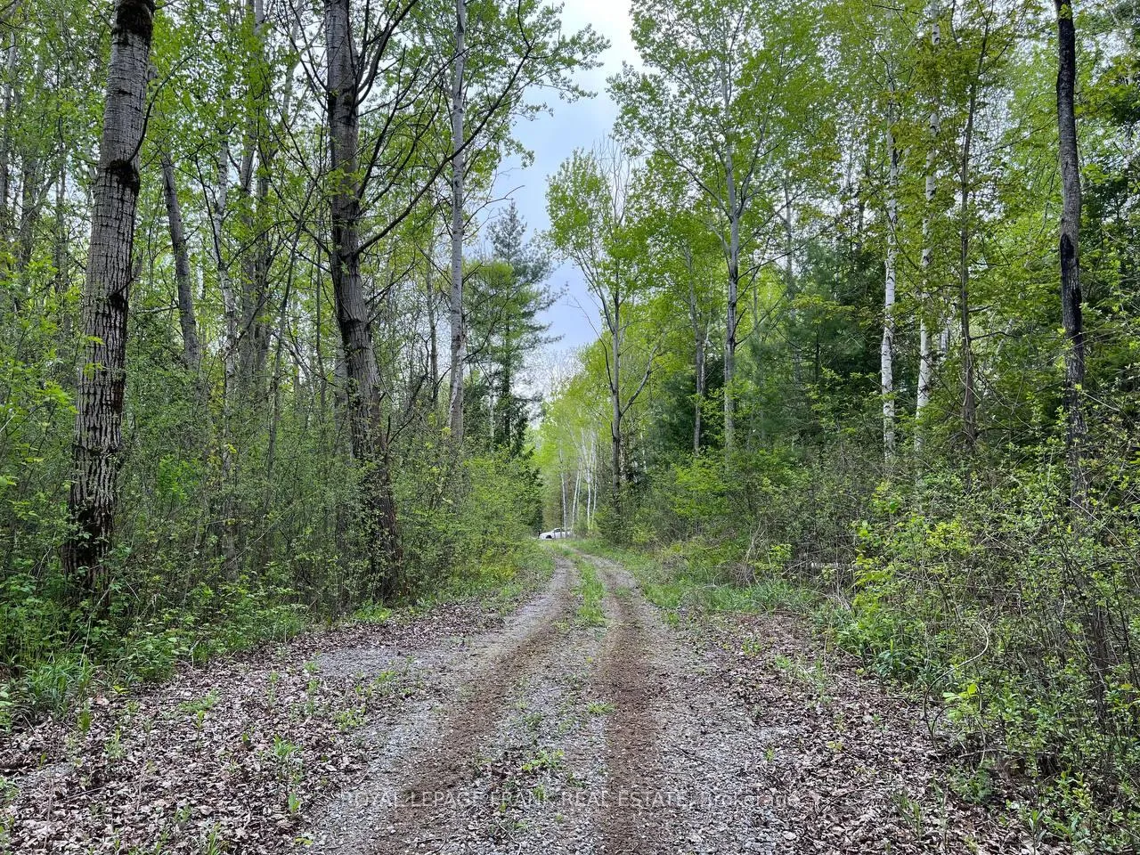 Photo 9 of Rutherford Road, Alnwick/Haldimand, Grafton — HOMEH