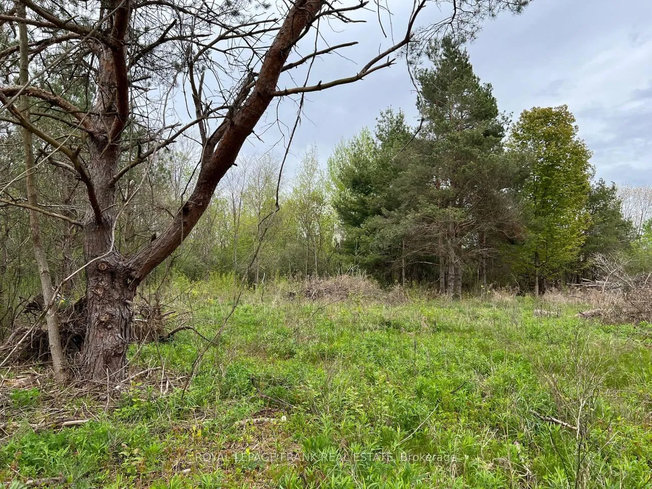 Photo 10 of Rutherford Road, Alnwick/Haldimand, Grafton — HOMEH