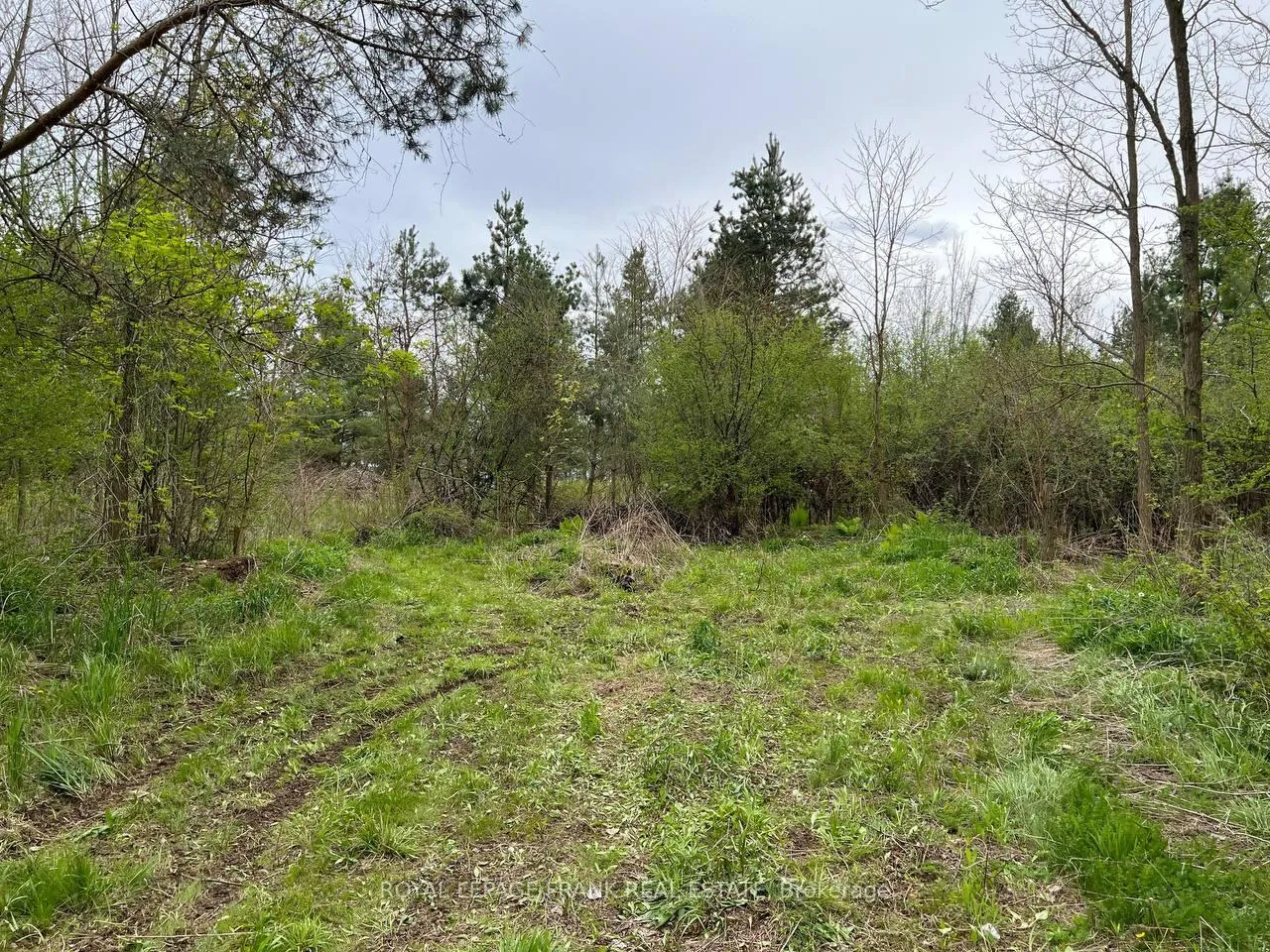 Photo 11 of Rutherford Road, Alnwick/Haldimand, Grafton — HOMEH