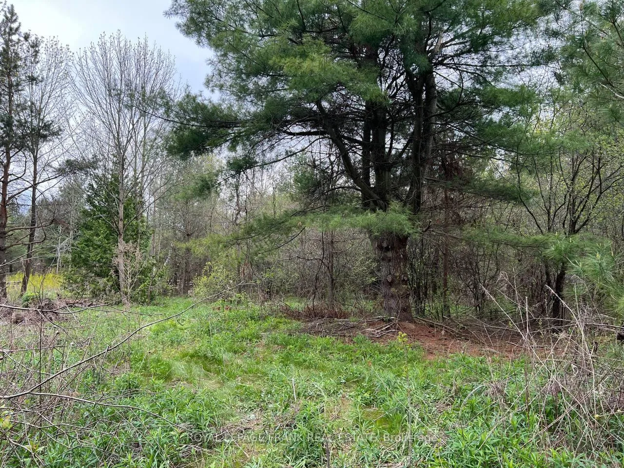 Photo 14 of Rutherford Road, Alnwick/Haldimand, Grafton — HOMEH