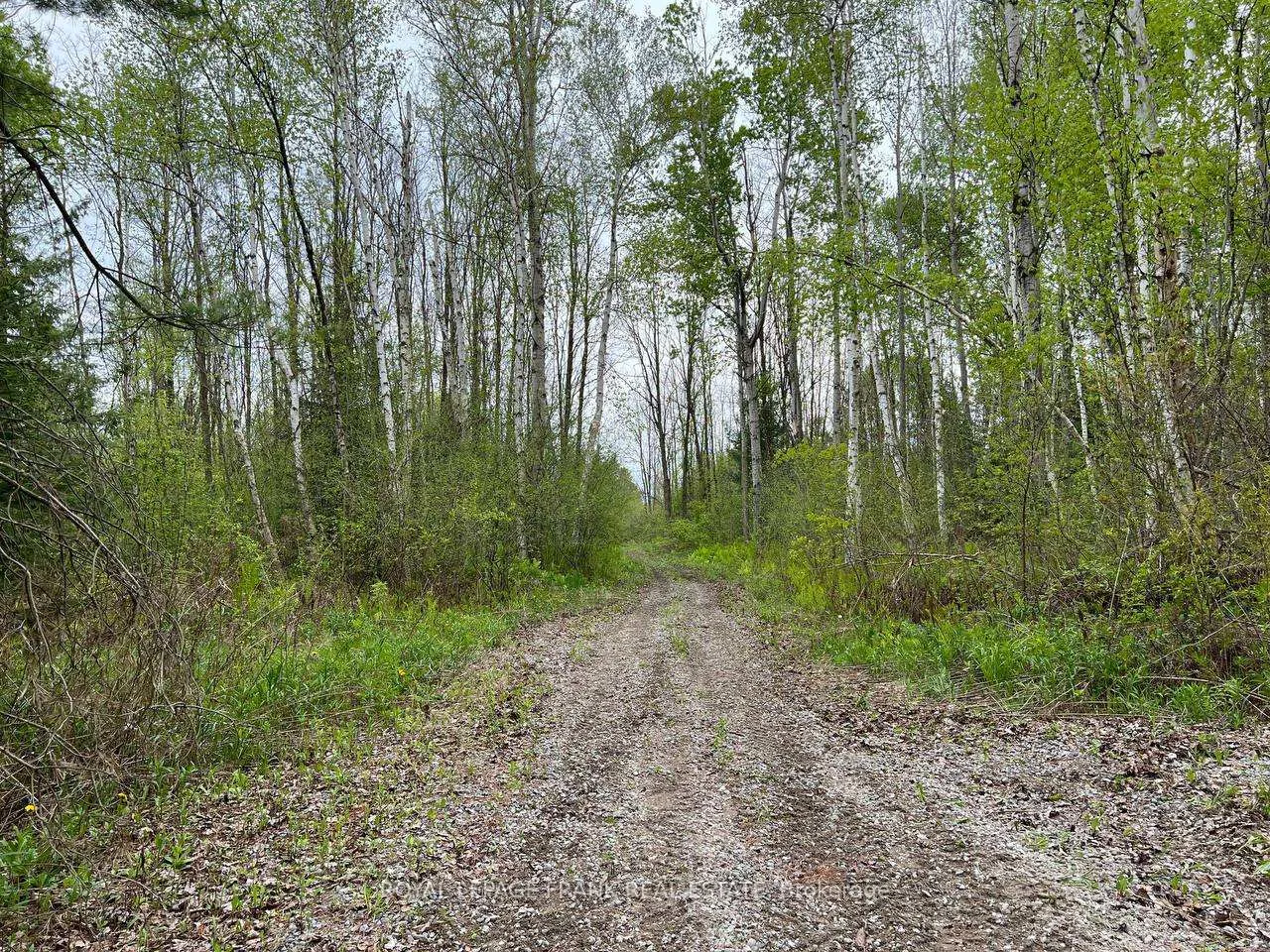 Photo 18 of Rutherford Road, Alnwick/Haldimand, Grafton — HOMEH