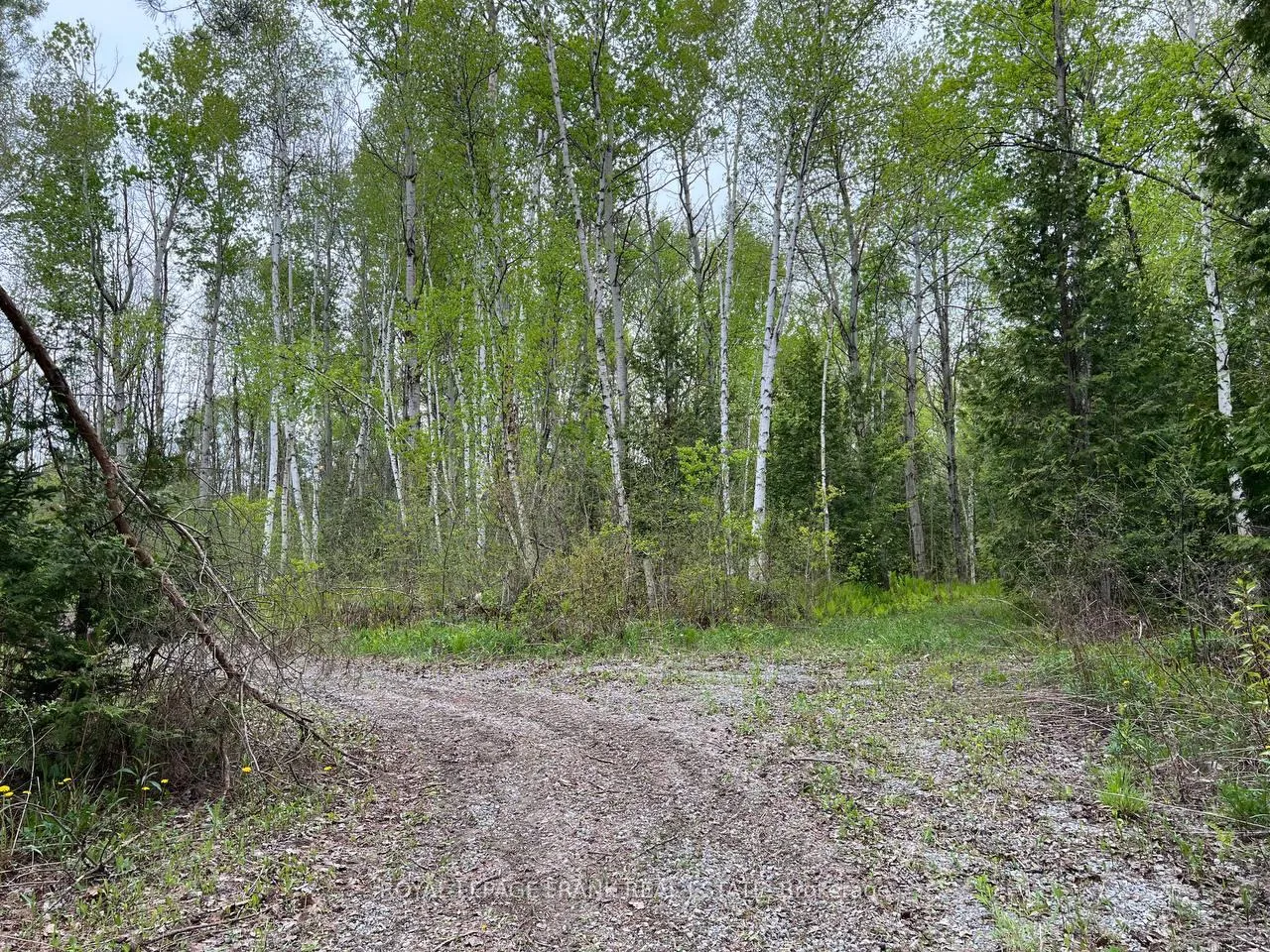 Photo 20 of Rutherford Road, Alnwick/Haldimand, Grafton — HOMEH