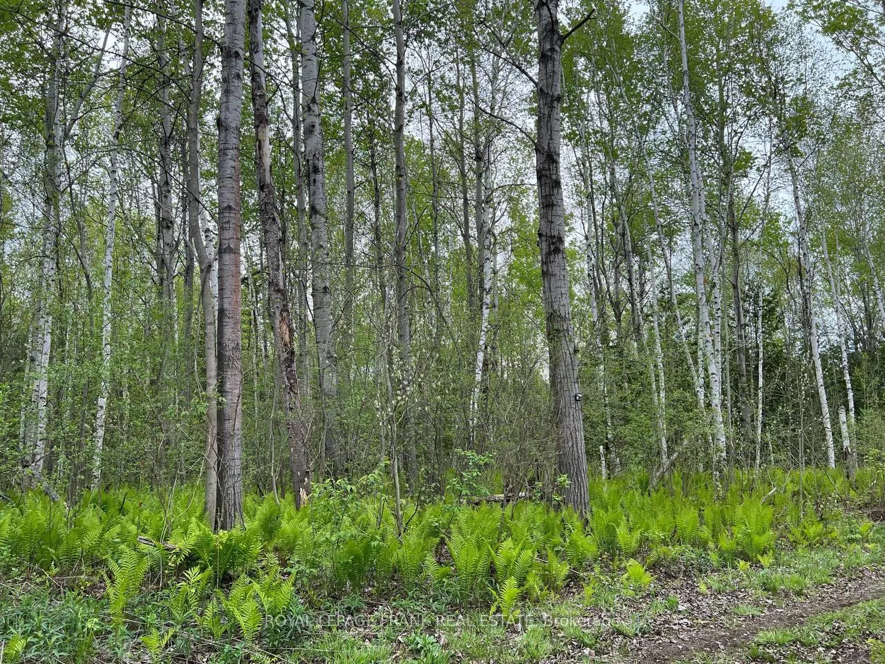 Photo 21 of Rutherford Road, Alnwick/Haldimand, Grafton — HOMEH