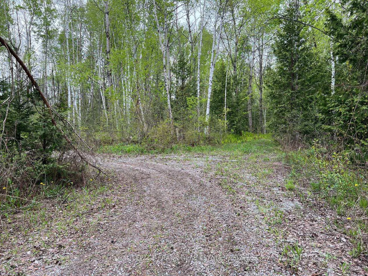 Photo 22 of Rutherford Road, Alnwick/Haldimand, Grafton — HOMEH