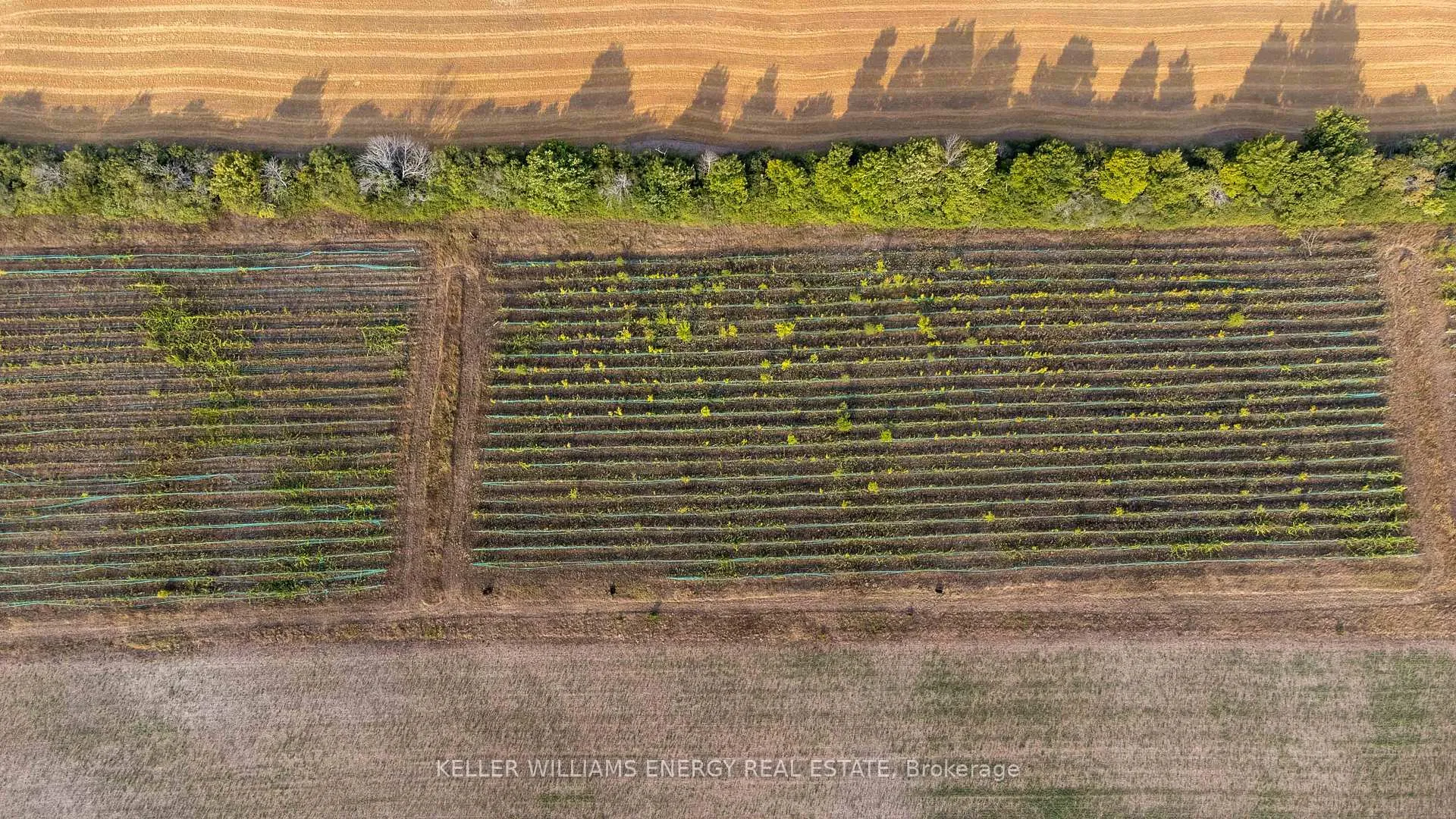 Photo 39 of 804 Closson Road, Prince Edward County, Hillier — HOMEH