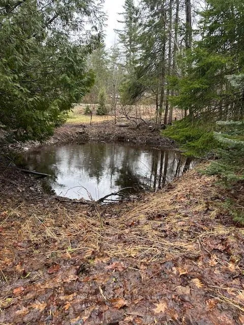 Photo 19 of 1020 Parkholme Road, Gravenhurst, Wood (Gravenhurst) — HOMEH