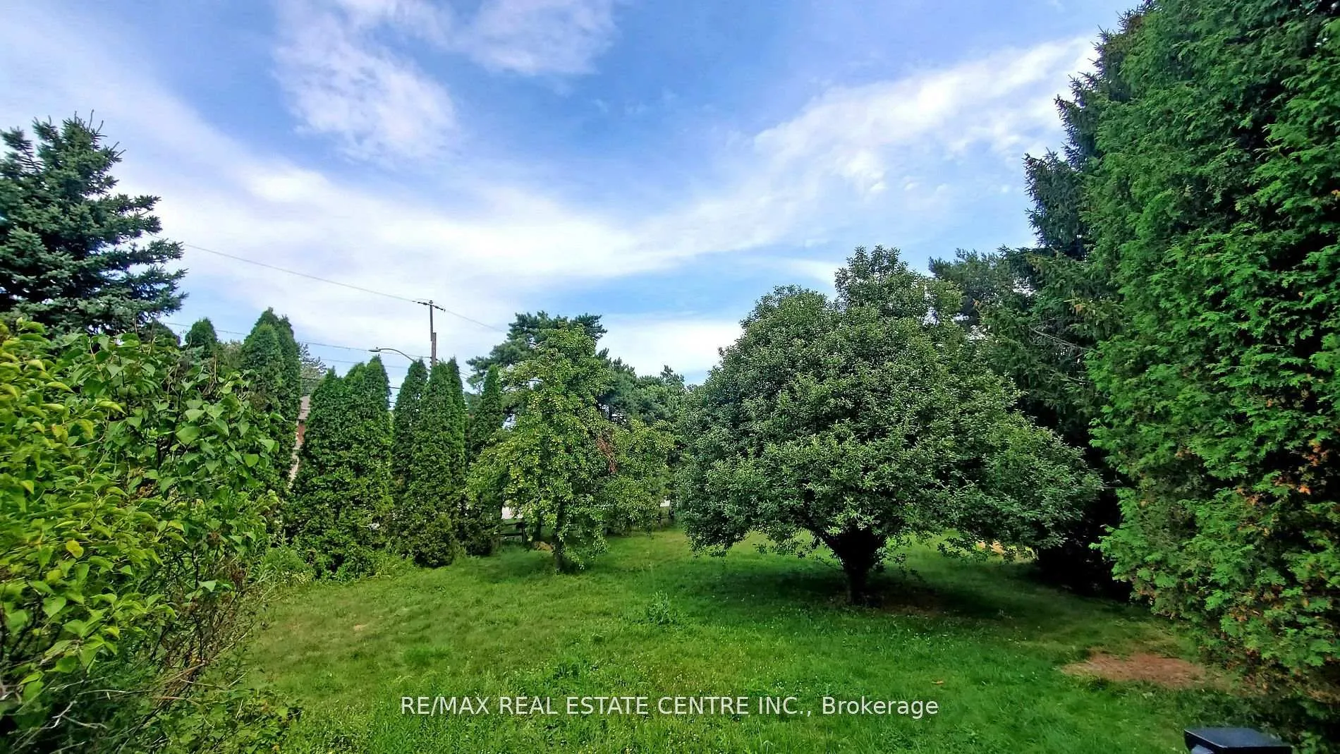 Photo 10 of 103 Chester Avenue, Hamilton, Gourley — HOMEH