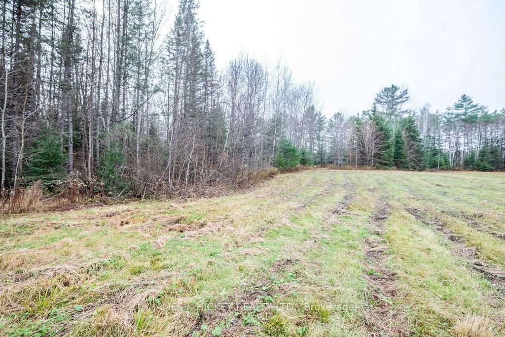 Photo 4 of PT LT 15 BRONSON Rd, Deep River, Chalk River and Laurentian Hills South — HOMEH