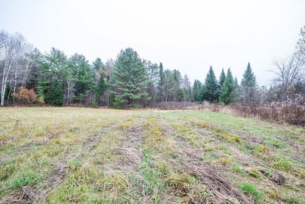 Photo 5 of PT LT 15 BRONSON Rd, Deep River, Chalk River and Laurentian Hills South — HOMEH