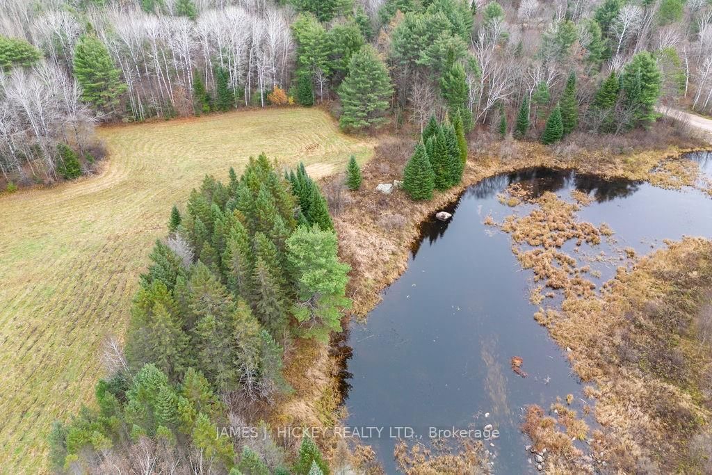 Photo 7 of PT LT 15 BRONSON Rd, Deep River, Chalk River and Laurentian Hills South — HOMEH