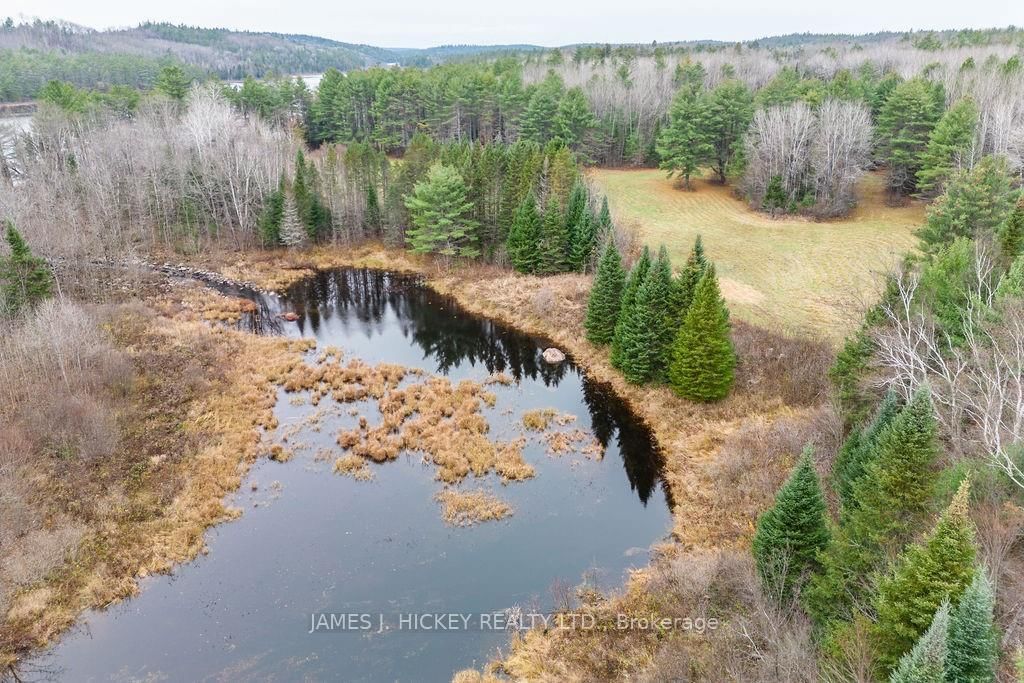 Photo 8 of PT LT 15 BRONSON Rd, Deep River, Chalk River and Laurentian Hills South — HOMEH