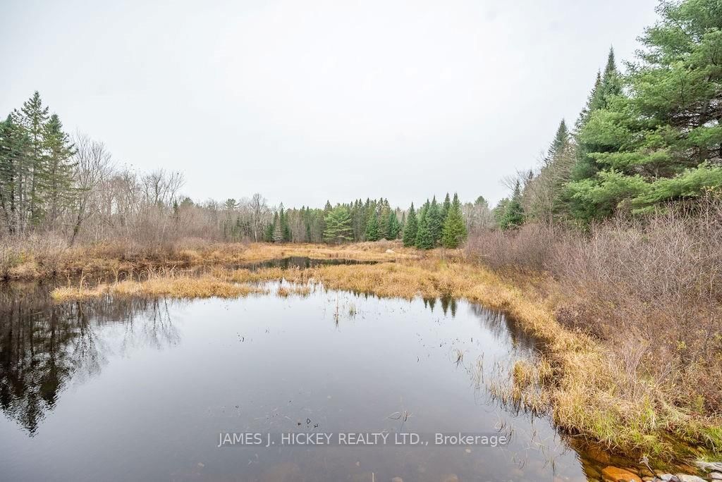 Photo 9 of PT LT 15 BRONSON Rd, Deep River, Chalk River and Laurentian Hills South — HOMEH