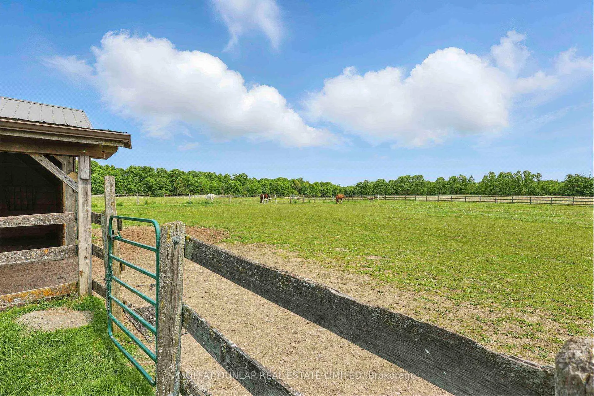 Photo 23 of 16473 Mount Pleasant Road, Caledon, Rural Caledon — HOMEH