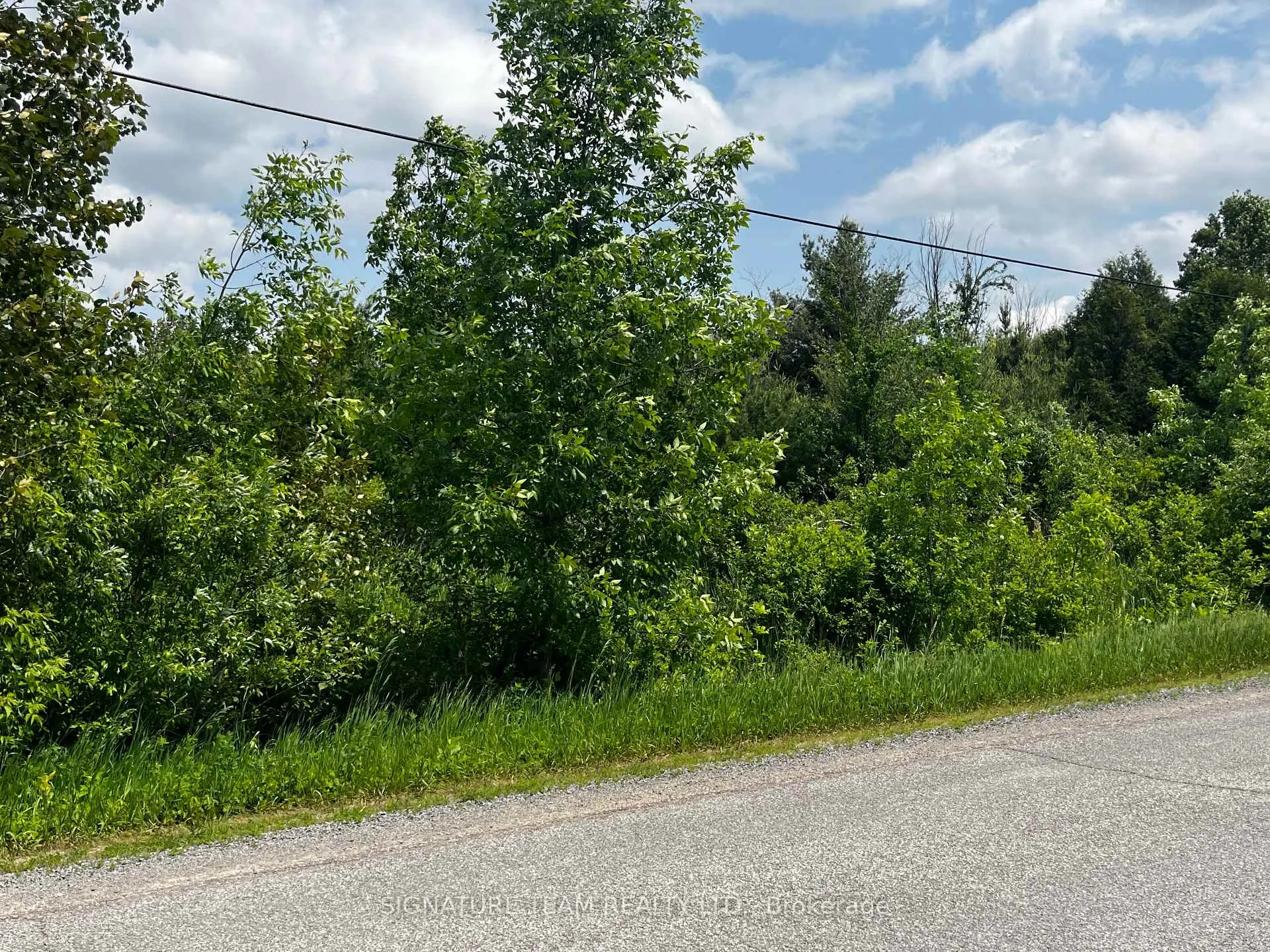 Front of Lot 1 Micksburg Road W