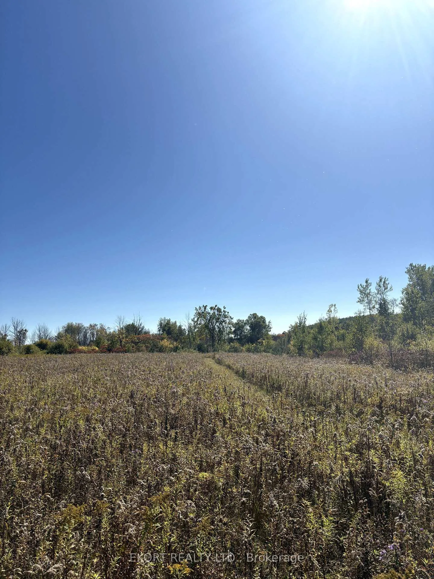 Photo 7 of 309 Vanderwater Road, Tweed, Hungerford (Twp) — HOMEH