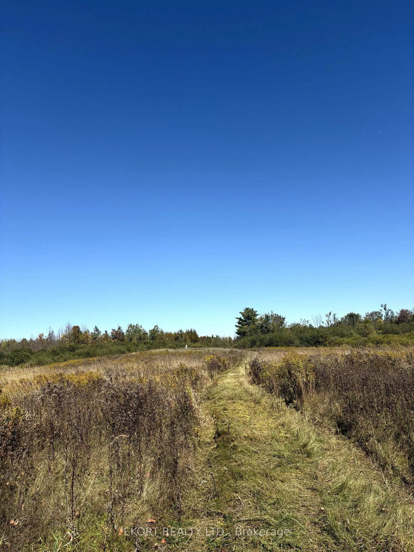 Photo 8 of 309 Vanderwater Road, Tweed, Hungerford (Twp) — HOMEH