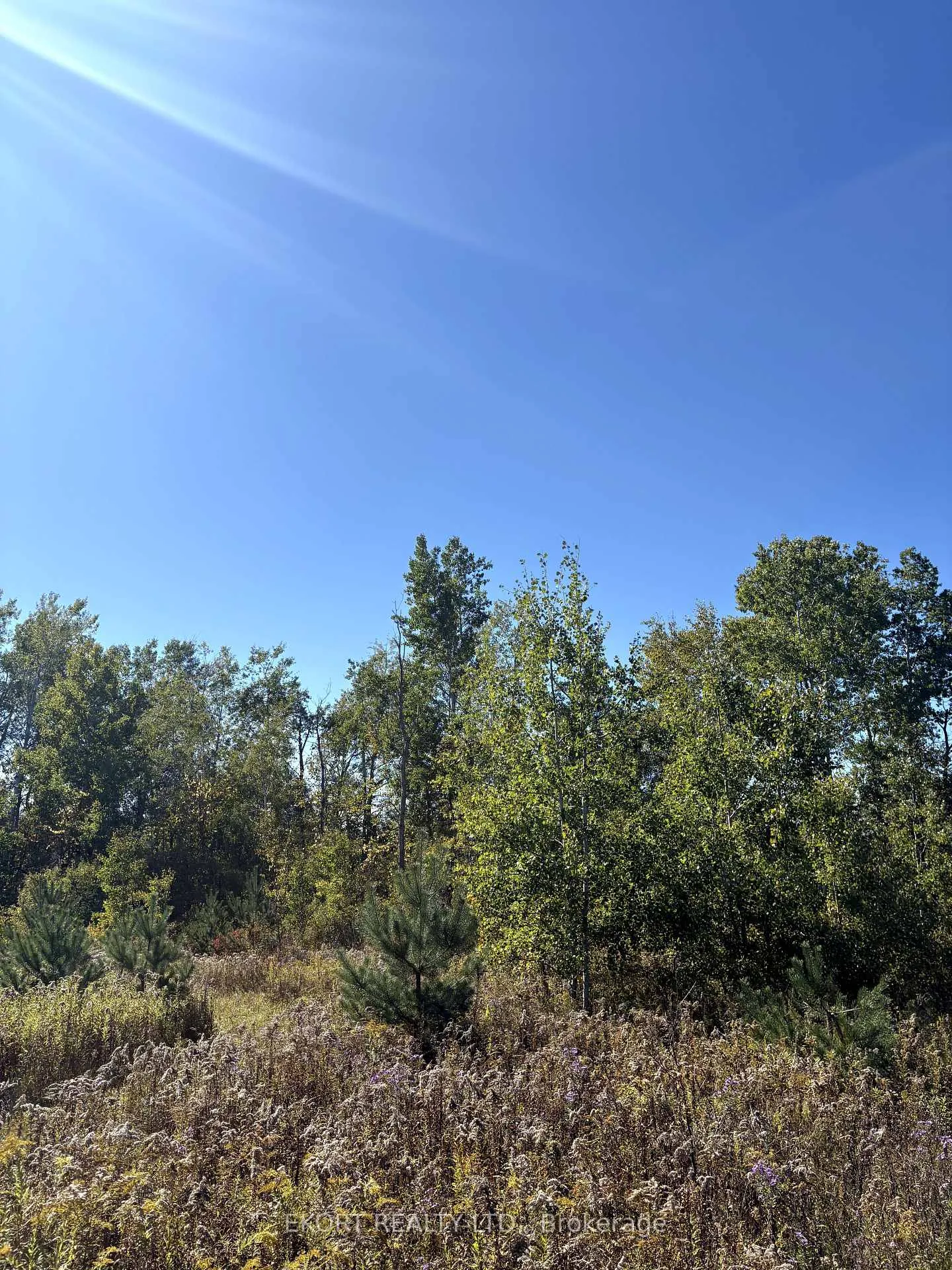 Photo 12 of 309 Vanderwater Road, Tweed, Hungerford (Twp) — HOMEH