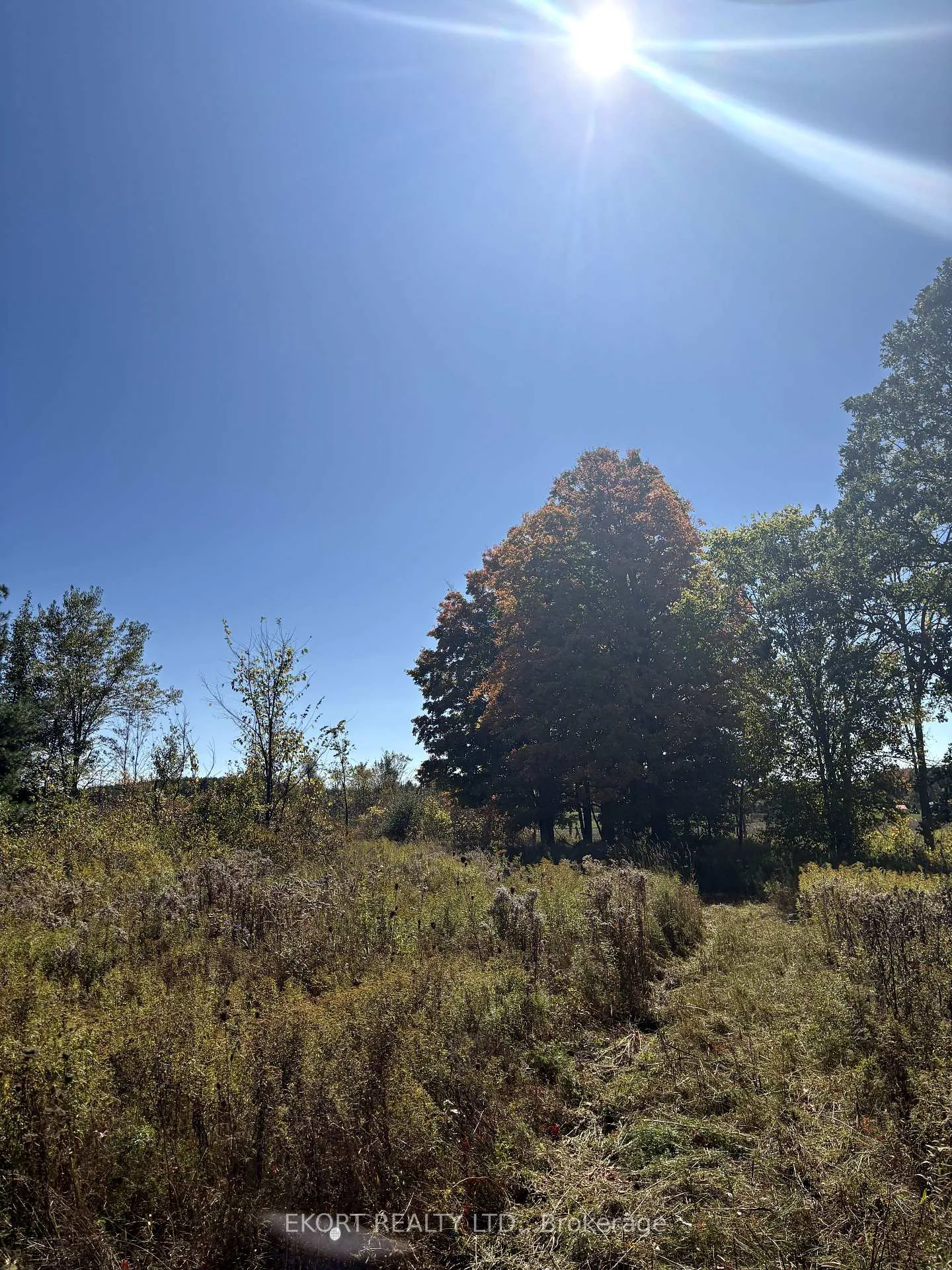 Photo 13 of 309 Vanderwater Road, Tweed, Hungerford (Twp) — HOMEH