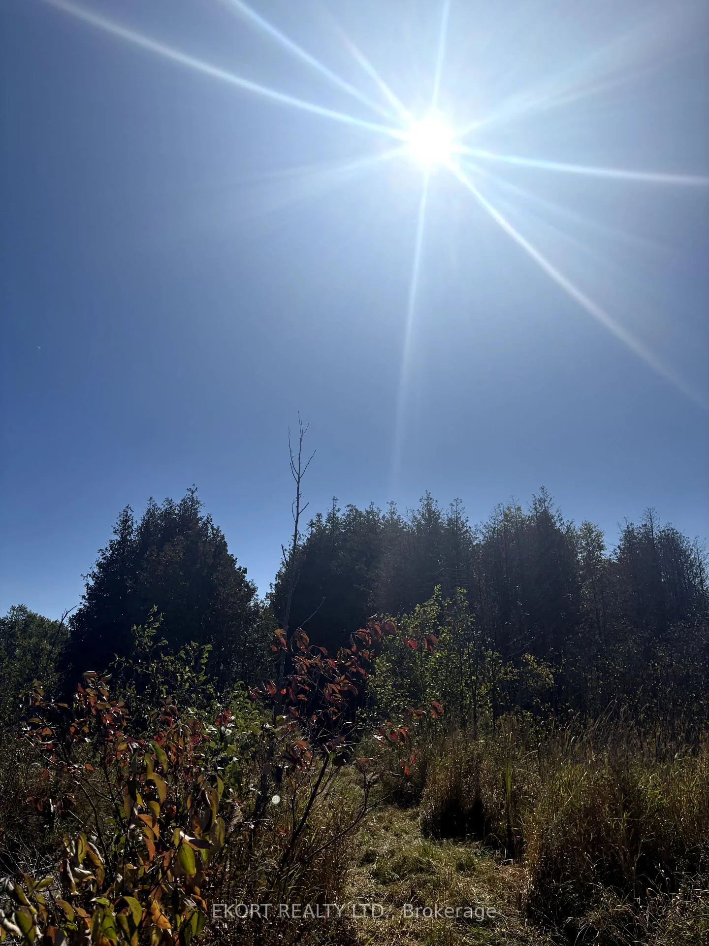 Photo 15 of 309 Vanderwater Road, Tweed, Hungerford (Twp) — HOMEH