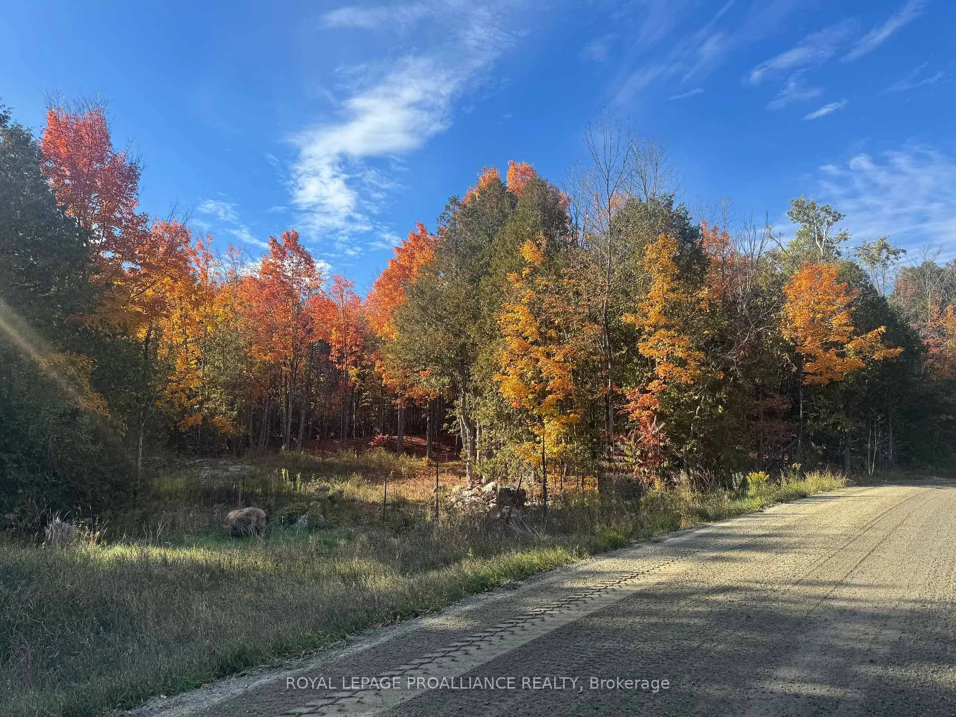 Photo of Lot 2 Vansickle Road N