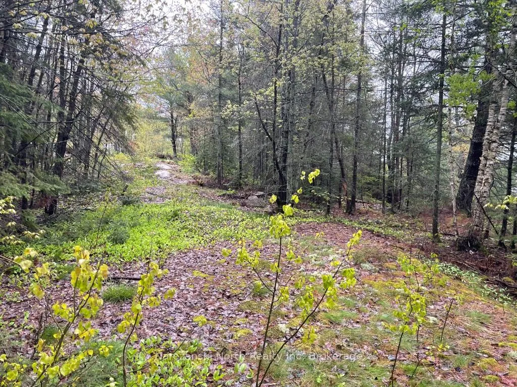 Photo 10 of 556 Hartley Bay Road, Killarney — HOMEH