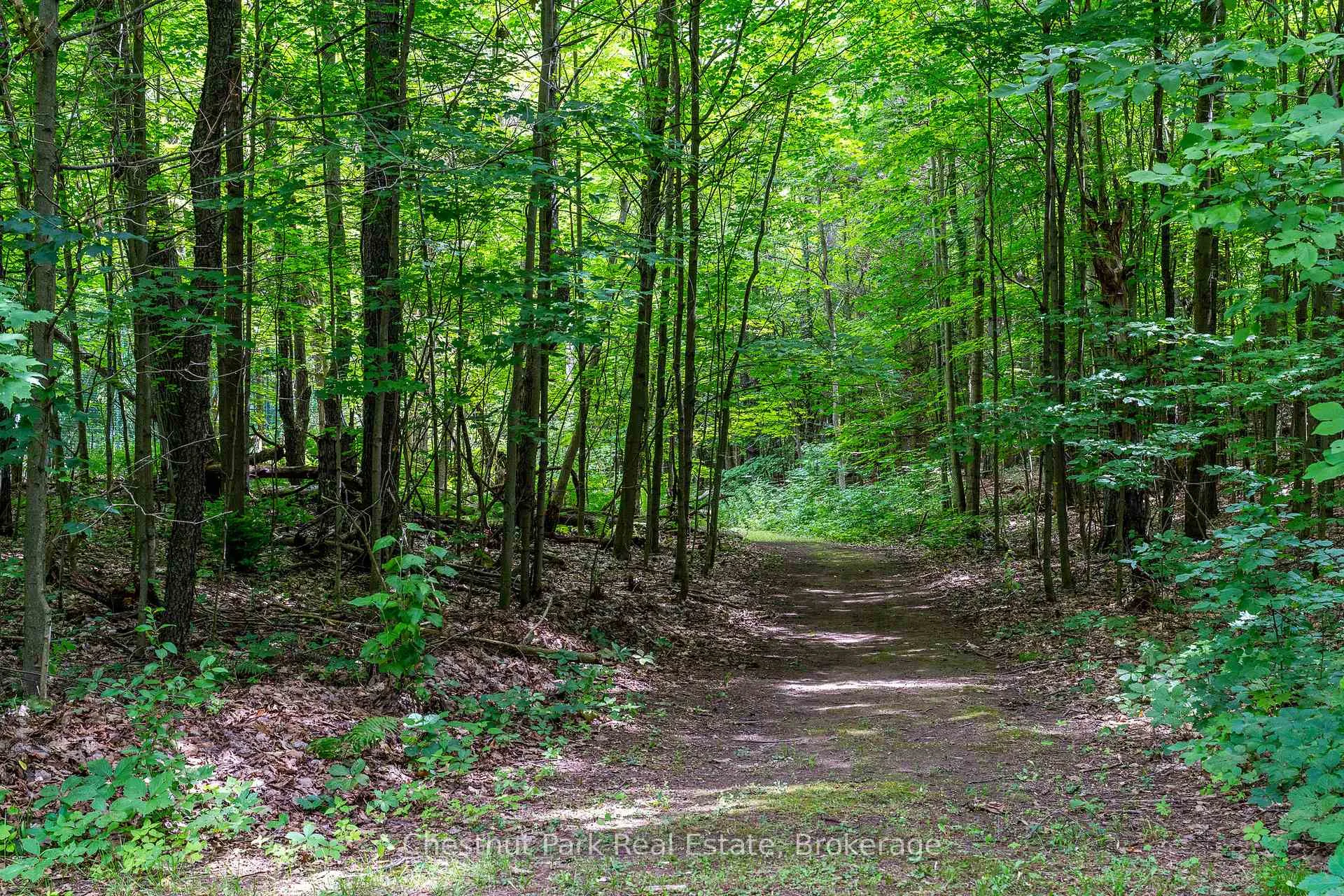 Photo 6 of 838151 4th Line E, Mulmur, Rural Mulmur — HOMEH