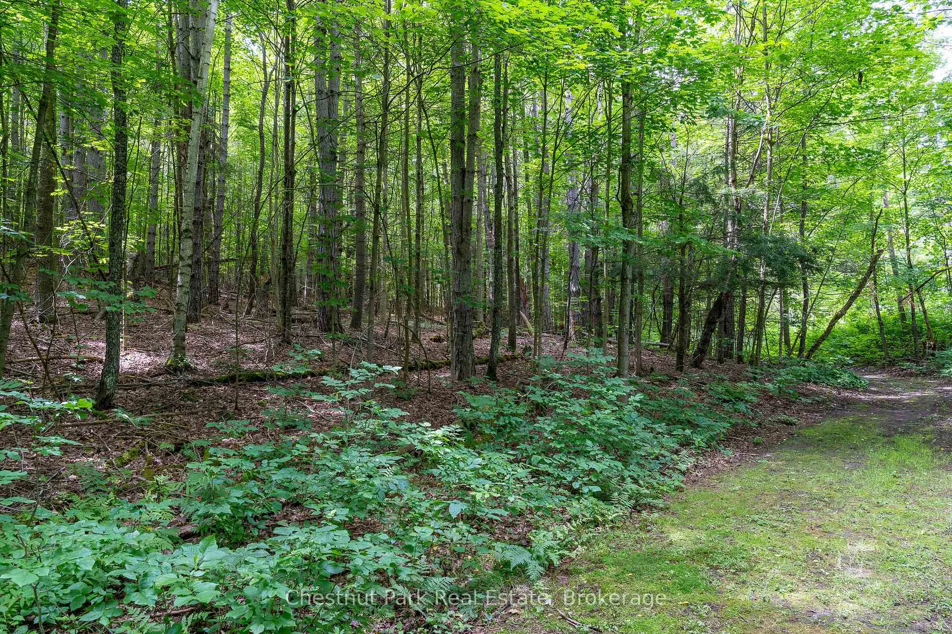 Photo 16 of 838151 4th Line E, Mulmur, Rural Mulmur — HOMEH