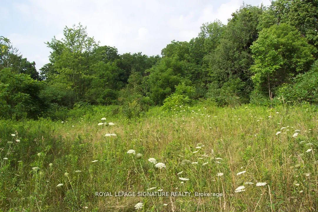 Photo 2 of 1592 Centre Road, Hamilton, Rural Flamborough — HOMEH