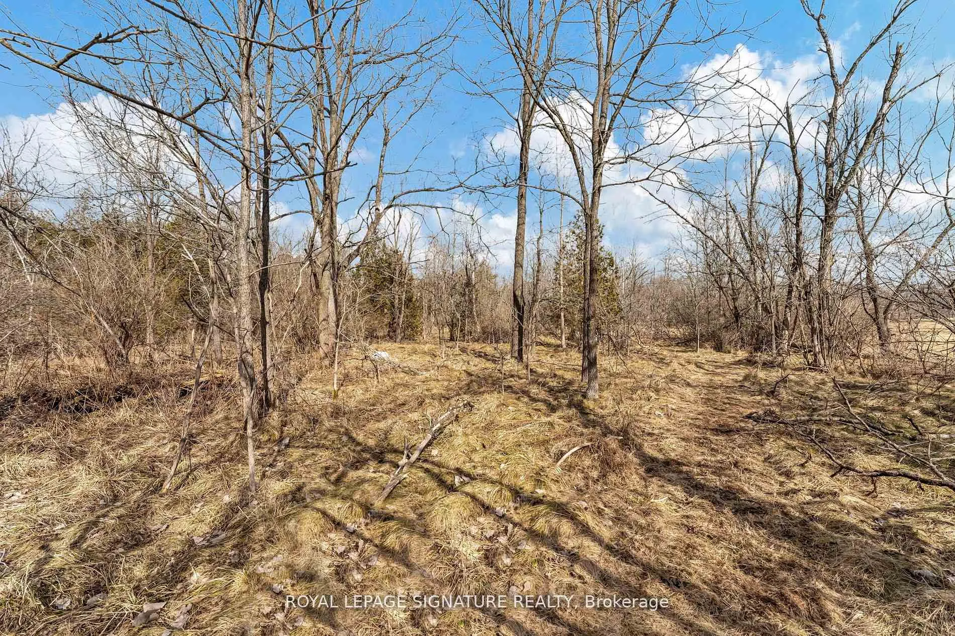 Photo 22 of 1592 Centre Road, Hamilton, Rural Flamborough — HOMEH