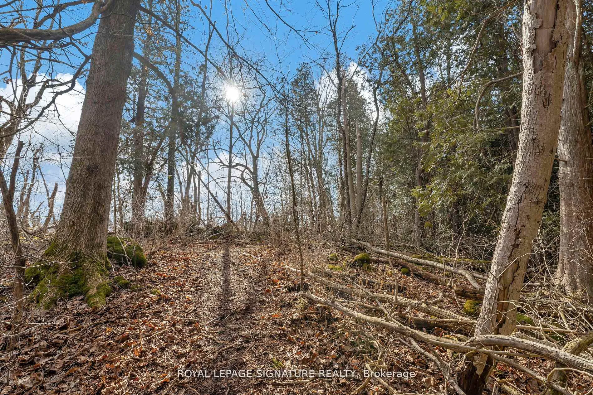 Photo 23 of 1592 Centre Road, Hamilton, Rural Flamborough — HOMEH