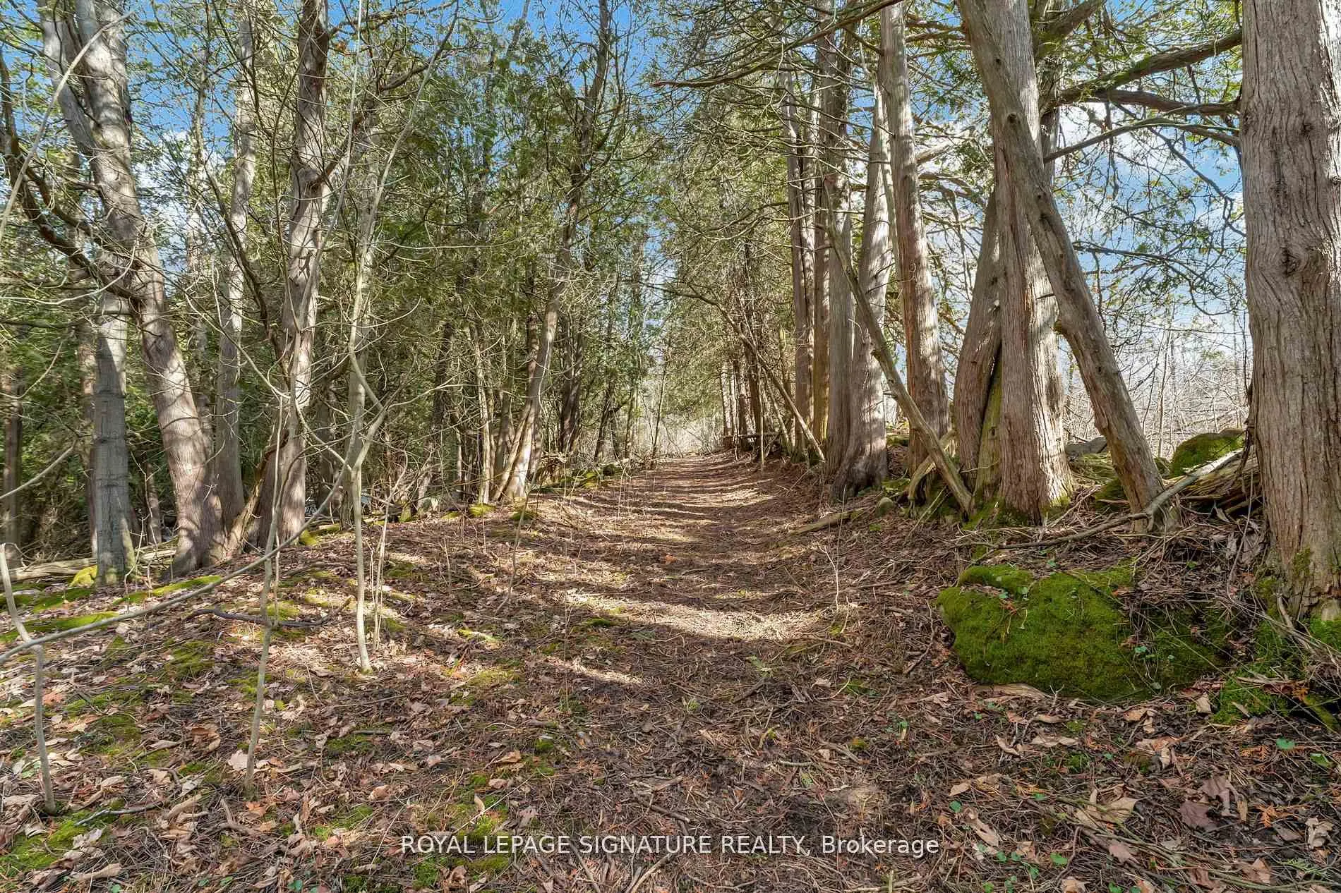 Photo 24 of 1592 Centre Road, Hamilton, Rural Flamborough — HOMEH