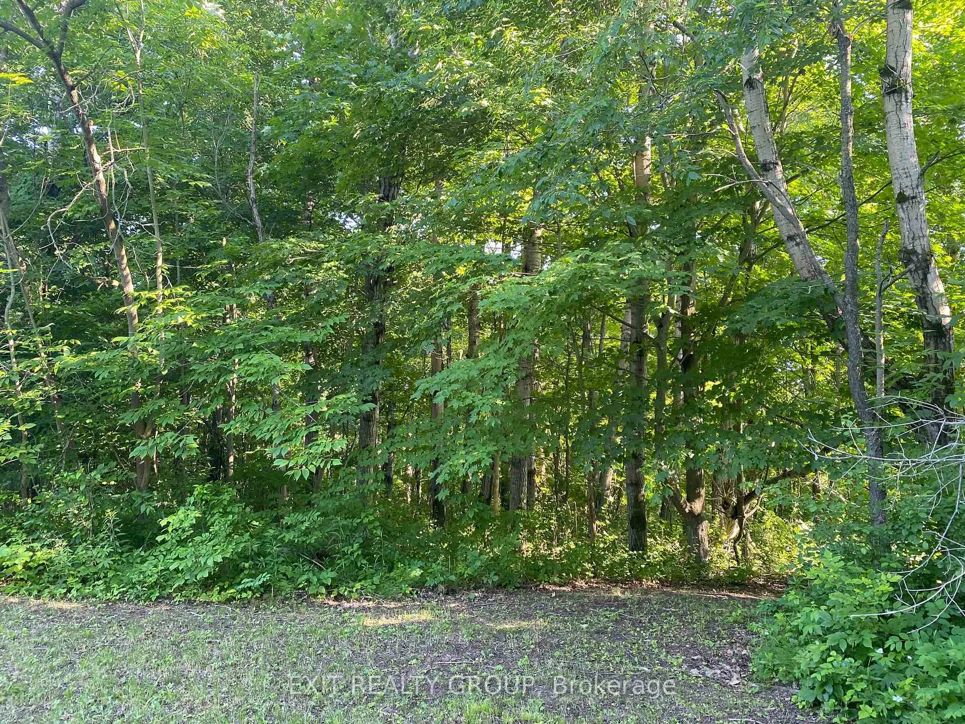Photo 8 of 181 Barnes Road, Cramahe, Rural Cramahe — HOMEH