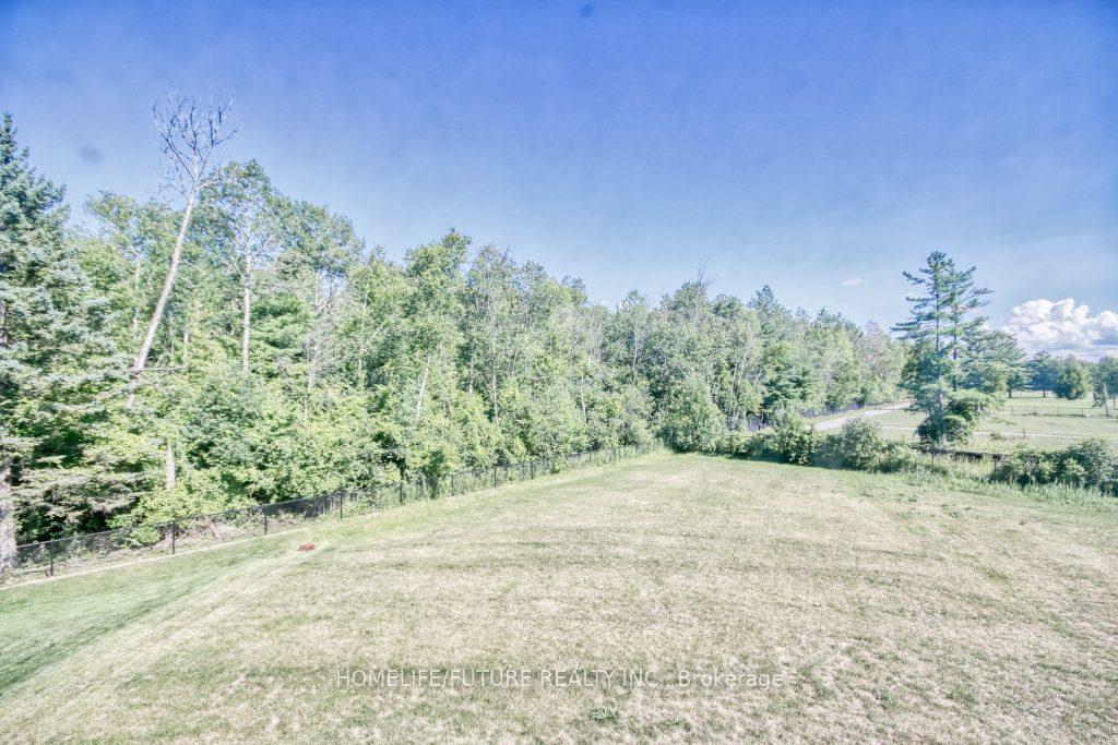 Photo 23 of 99 Scotia Road, Georgina, Sutton & Jackson's Point — HOMEH